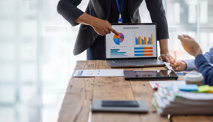 ERP customization services